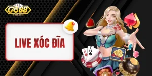 Live Xóc Đĩa - Cảm Nhận Không Khí Của Sòng Bài Thực Thụ